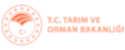 tarimormanLogo